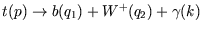 $t(p) \ra b(q_1) + W^+(q_2) + \gamma(k)$